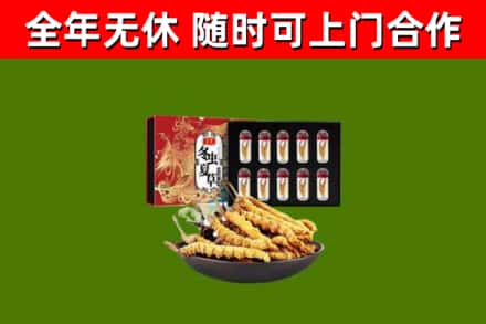 洞头回收冬虫夏草价格